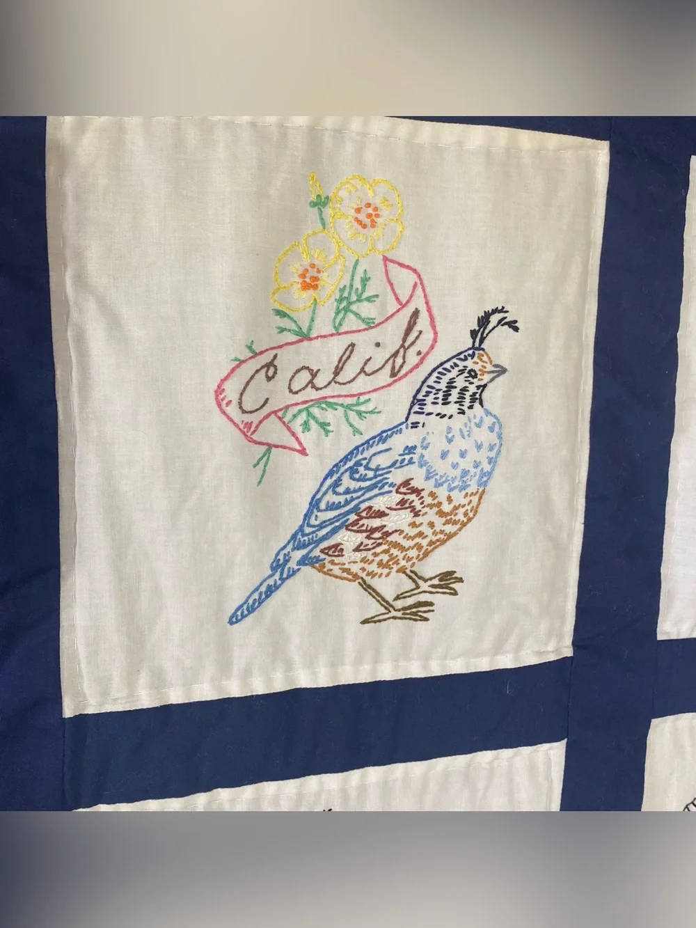 Vintage Embroidered State Bird Blocks Quilt 50 States 96” X 109”